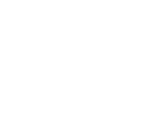 finger print icon